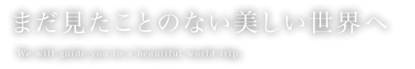 まだ見たことのない美しい世界へ